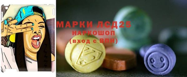 ПСИЛОЦИБИНОВЫЕ ГРИБЫ Беломорск