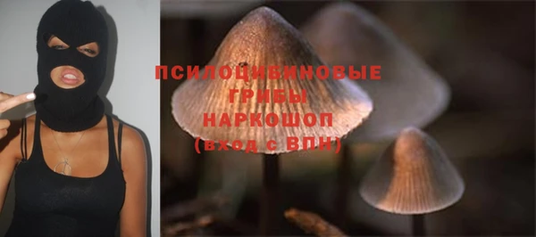 ПСИЛОЦИБИНОВЫЕ ГРИБЫ Беломорск