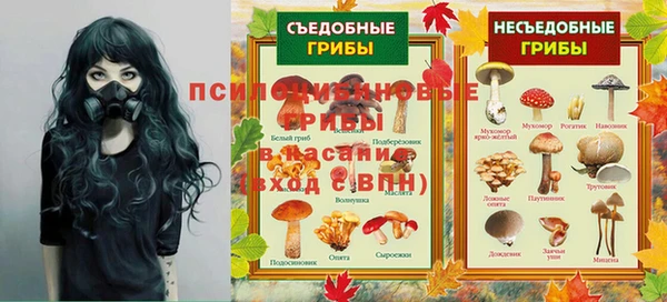 ПСИЛОЦИБИНОВЫЕ ГРИБЫ Беломорск