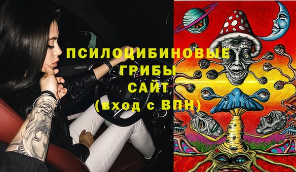 ПСИЛОЦИБИНОВЫЕ ГРИБЫ Беломорск