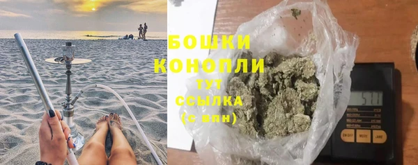 ПСИЛОЦИБИНОВЫЕ ГРИБЫ Беломорск