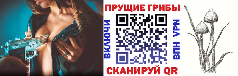 Галлюциногенные грибы MAGIC MUSHROOMS  Абакан 